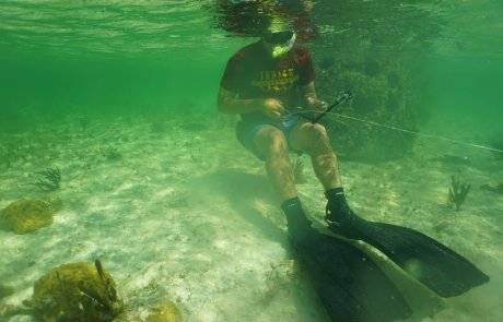 Jack Tamisiea underwater wearing scuba headgear and flippers